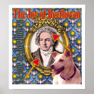 Póster La alegría de Beethoven