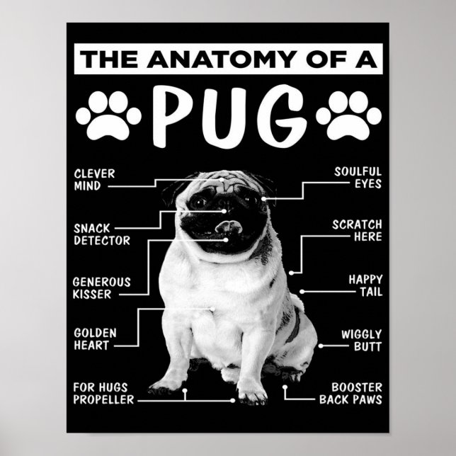Póster La Anatomía De Un Amante De La Mascota Pug (Frente)