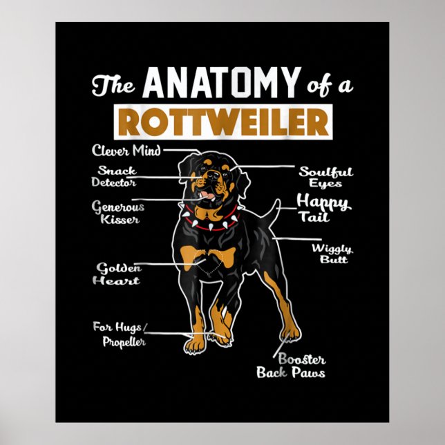 Póster La Anatomía De Un Rottweiler | Guay Dog Lover (Frente)
