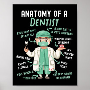Póster La Anatomía Dental Dentista De Un Dentista Una Men