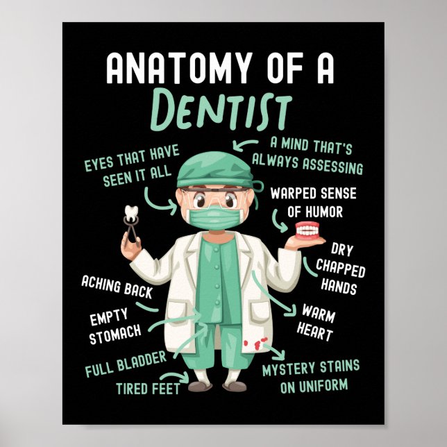 Póster La Anatomía Dental Dentista De Un Dentista Una Men (Frente)