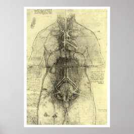 Póster La anatomía humana de Leonardo da Vinci