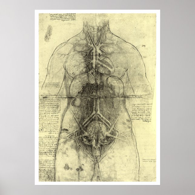 Póster La anatomía humana de Leonardo da Vinci (Frente)