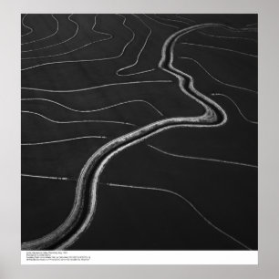 Póster La antena, valle de Sacramento, arroz coloca mayo
