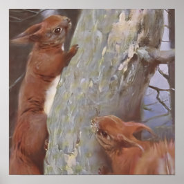 Póster LA ARDILLA (Sciurus vulgaris)