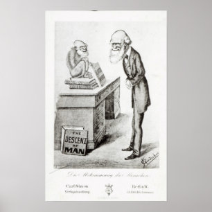 Póster La ascendencia del hombre