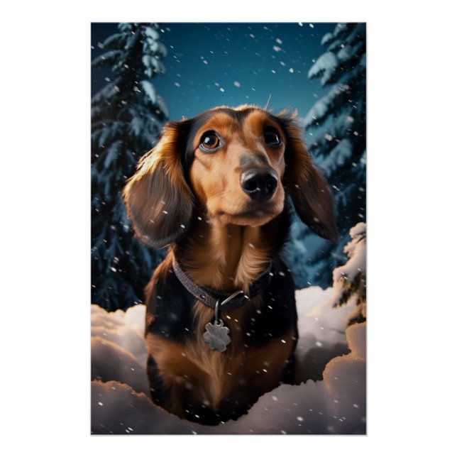 Póster La aventura nevada de Dachshund (Anverso)