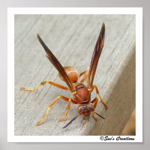 Póster ¡La avispa! Poster