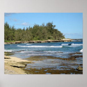 Póster La bahía hermosa de la tortuga en Oahu Hawaii