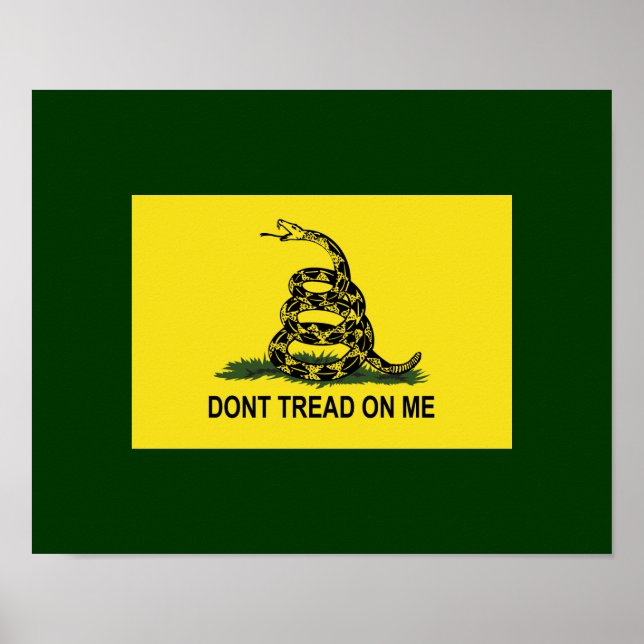 Póster La Bandera De Gadsden No Me Golpea (Frente)