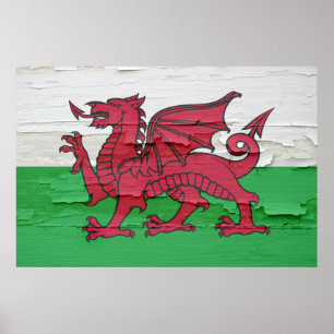 Póster La bandera de País de Gales resistió a la pintura