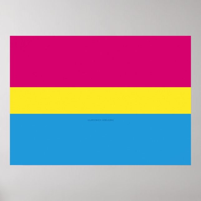 Póster La bandera pansexual del orgullo de SlipperyJoe es (Frente)