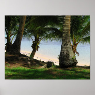 Póster La belleza de Guam