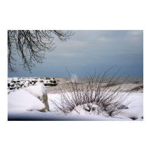 La belleza del invierno