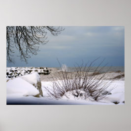 Póster La belleza del invierno