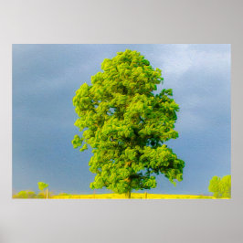 Póster La belleza en la tormenta