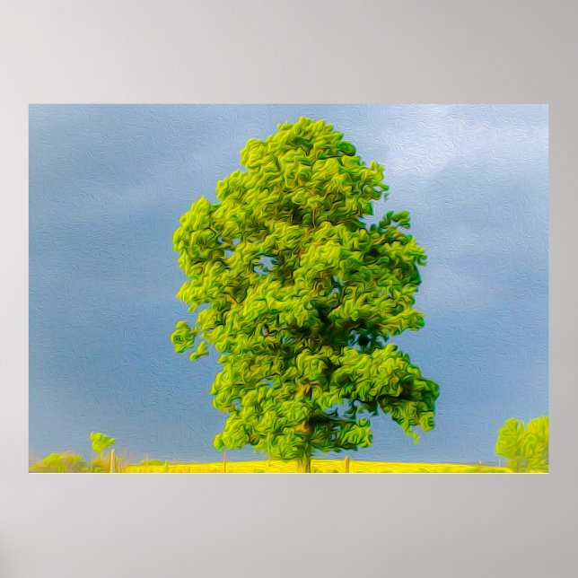 Póster La belleza en la tormenta (Frente)