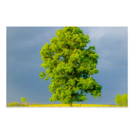 Póster La belleza en la tormenta