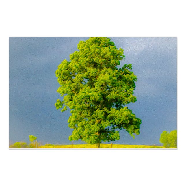 Póster La belleza en la tormenta (Anverso)