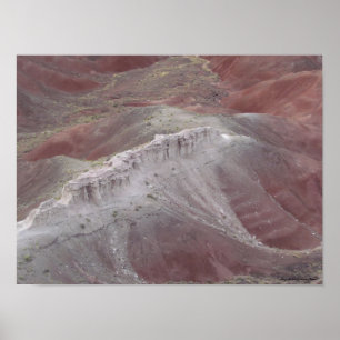 Póster La belleza majestuosa del desierto pintado