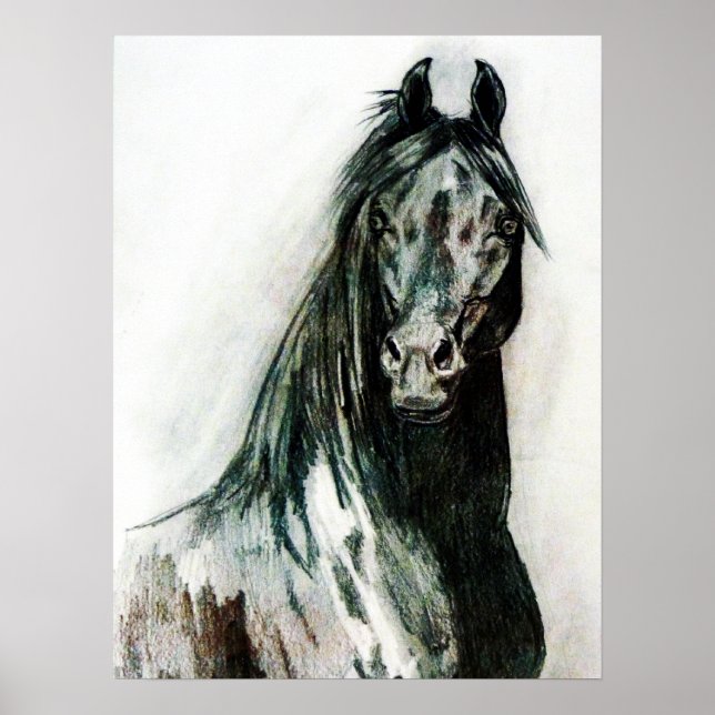 Póster La belleza oscura (Frente)