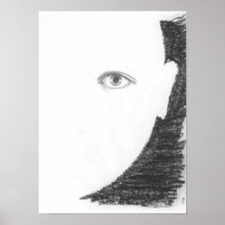 Póster La belleza sin