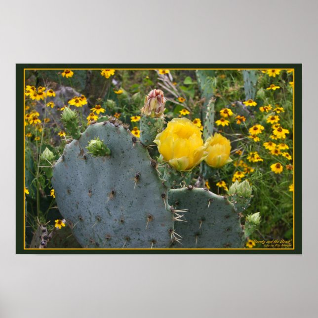 Póster La belleza y la bestia (Frente)