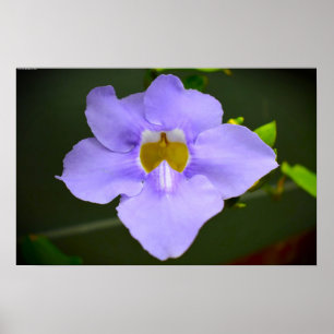 Póster La bendición de la naturaleza