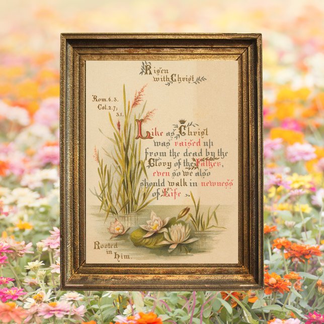 Póster La Biblia Cristiana Católica Cristo es la Pascua A (Religious Christian Catholic Bible Verse Resurrection Jesus Christ is Risen Floral Easter Poster)