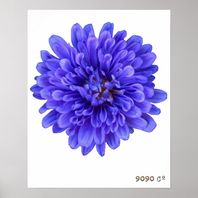 Póster La Bluette Poster (Frente)