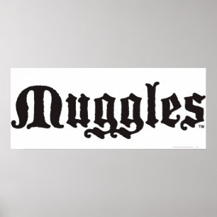 Póster La bola de Harry Potter  Muggles