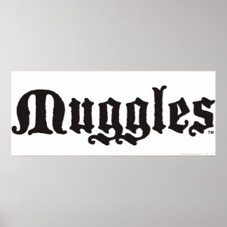 Póster La bola de Harry Potter| Muggles