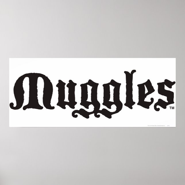 Póster La bola de Harry Potter| Muggles (Frente)