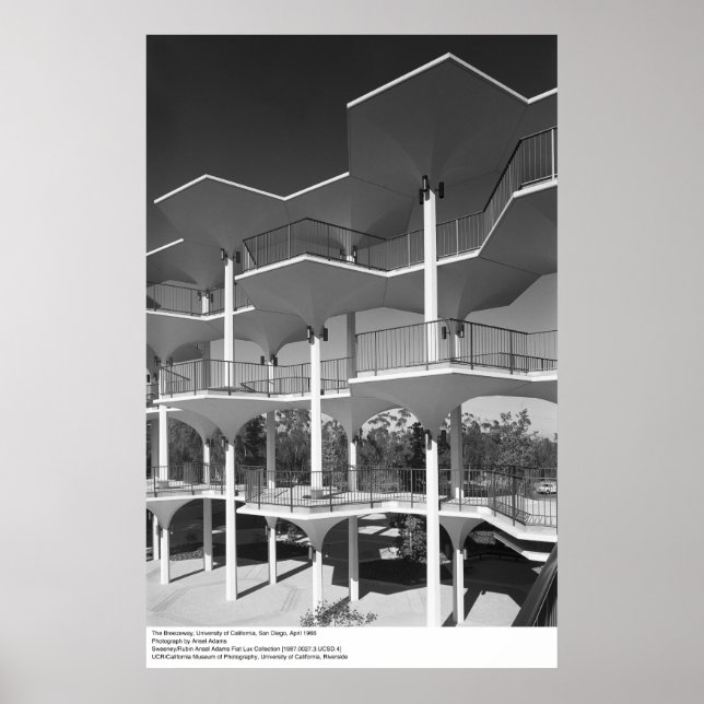 Póster La Breezeway, UC San Diego, 1966 (Frente)