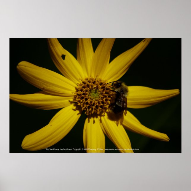 Póster La burbuja y el girasol (Frente)