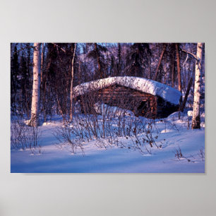 Póster La cabina del viejo trampero