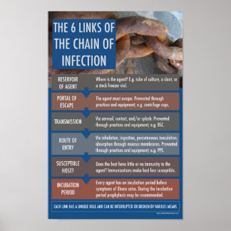 Póster La cadena del Poster educativo infleccional
