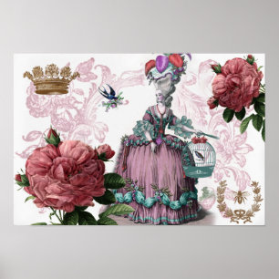 Póster la cage aux oiseaux (La jaula)