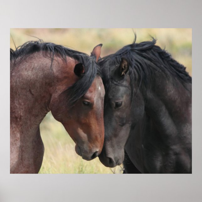 Póster La calma (Frente)