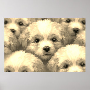 Póster La camada de cachorros rubios en una pared