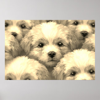 Póster La camada de cachorros rubios en una pared