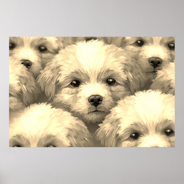 Póster La camada de cachorros rubios en una pared (Frente)
