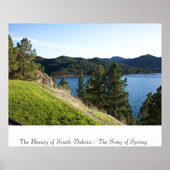 Póster La canción de la primavera (Frente)