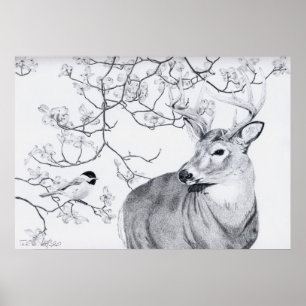 Póster La canción del Chickadee