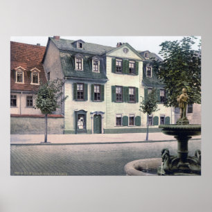 Póster La casa Schiller