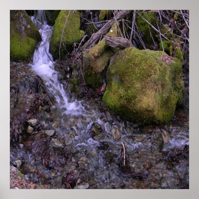 Póster La cascada de Fae.... (Frente)