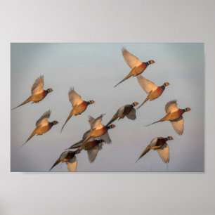 Póster La caza comienza la temporada de caza de recompens