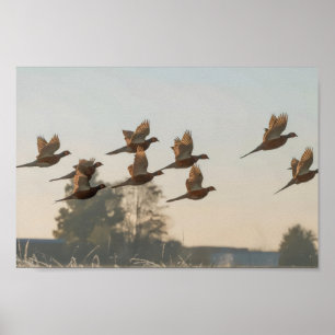 Póster La caza comienza la temporada de caza de recompens