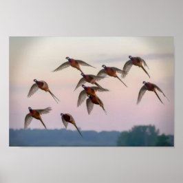 Póster La caza comienza la temporada de caza de recompens