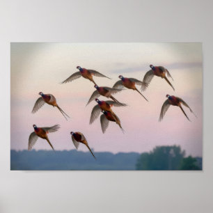 Póster La caza comienza la temporada de caza de recompens